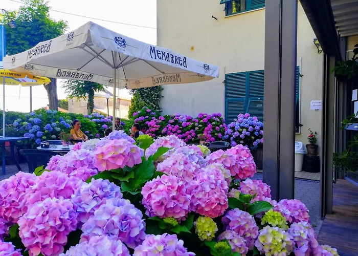 Hotel Silvia Framura - Cinque Terre