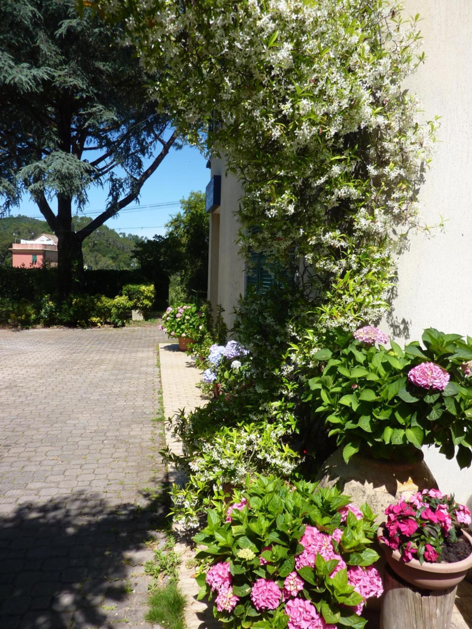 Silvia - Cinque Terre Hotel