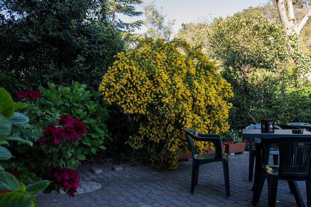 Silvia - Cinque Terre Hotel 2*
